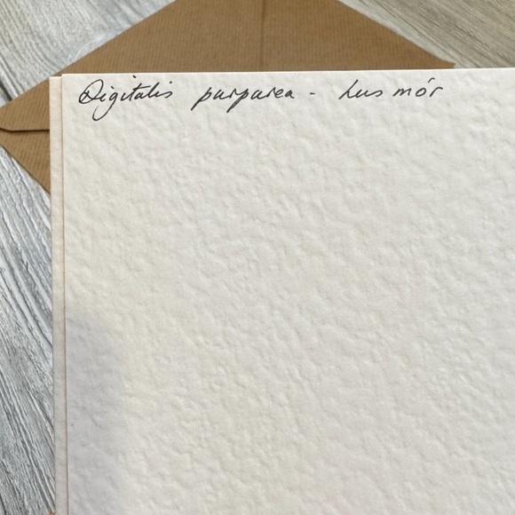 Wild Flower Stationary Card - Picture 14 of 16